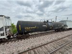 UTLX 667908